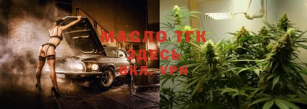 сатива Корсаков